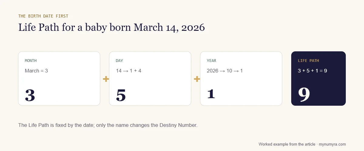 Step diagram adding month 3, day 5 and year 1 to get Life Path 9 for a baby born March 14, 2026