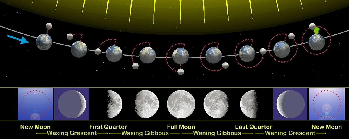 Diagram of the Moon orbiting Earth with a labelled row of phases from new moon to full moon and back