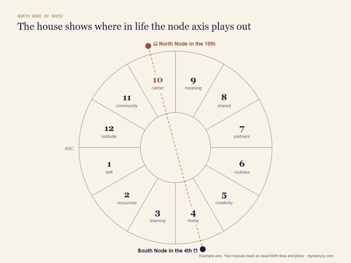 Diagram of the twelve astrological houses with an example North Node in the 10th house and South Node in the 4th