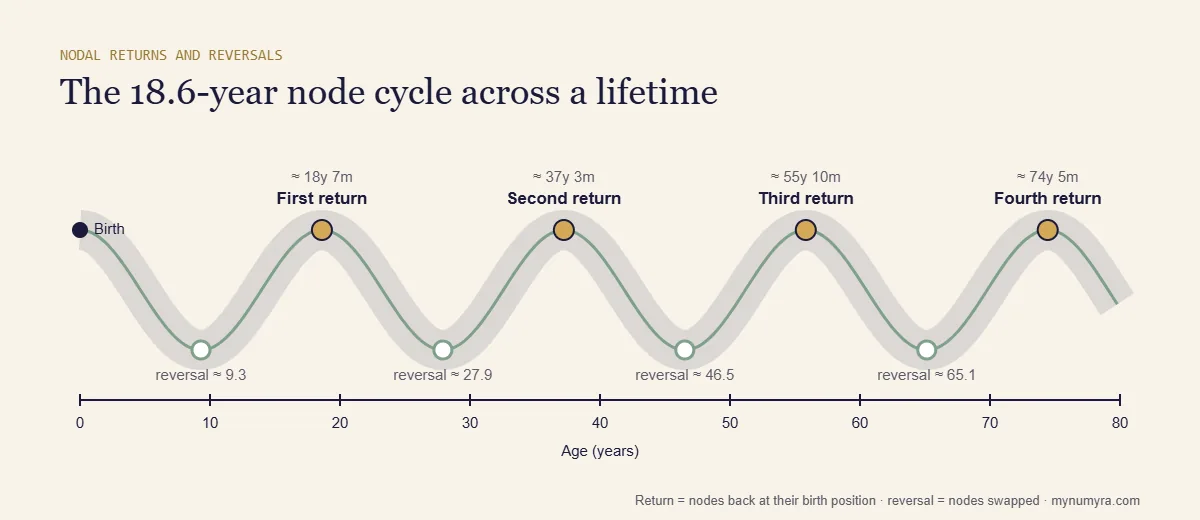 Timeline from birth to age 80 marking nodal returns near 18.6, 37.2, 55.8 and 74.4 years and reversals in between