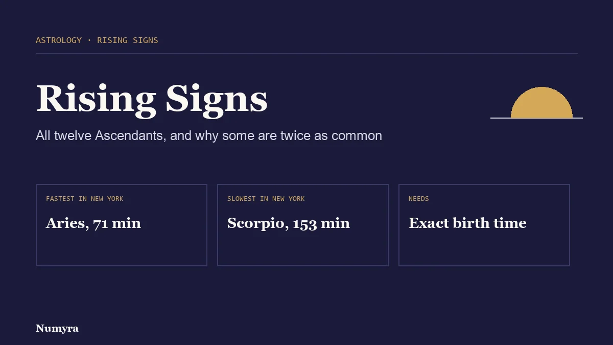 Title card for the rising signs guide showing the fastest and slowest rising signs in New York