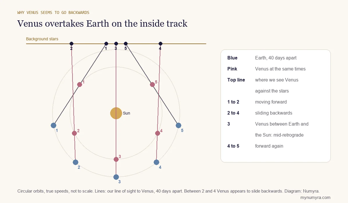 Diagram of Venus overtaking Earth on its inner orbit, with sight lines showing its position against the stars reversing